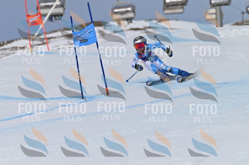 BGV_5810 | holidayphoto