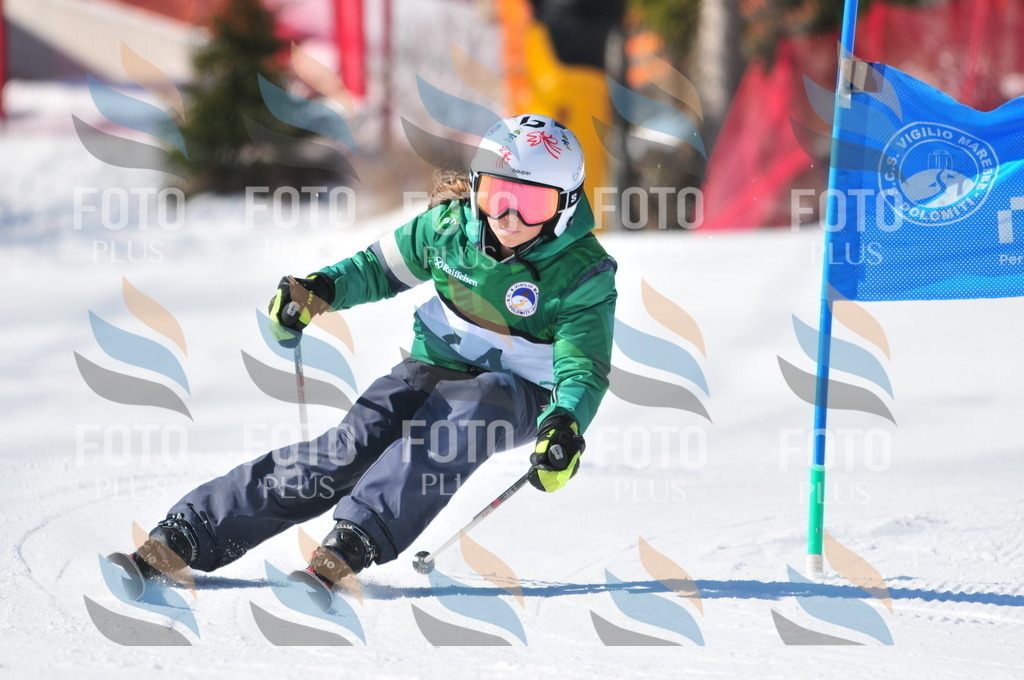 C3056 | holidayphoto