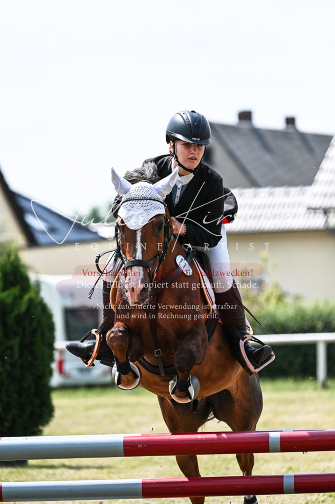 DSC_9451 | Pferde- und Turnierfotografie in Westsachsen. Pferdeportraits, Auftragszeichnungen und intuitive Kunst.