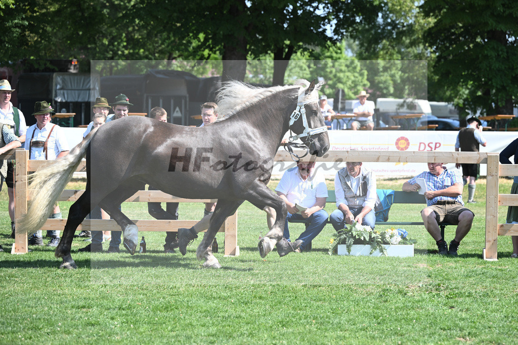 Kat-Nr. 16 Bernina_Bayrhof_20230250 | hf-fotografie - Realisiert mit Pictrs.com