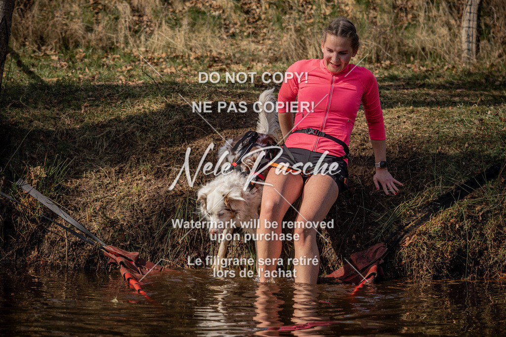 nelerasche_FS1330-1400_203 | nelerasche