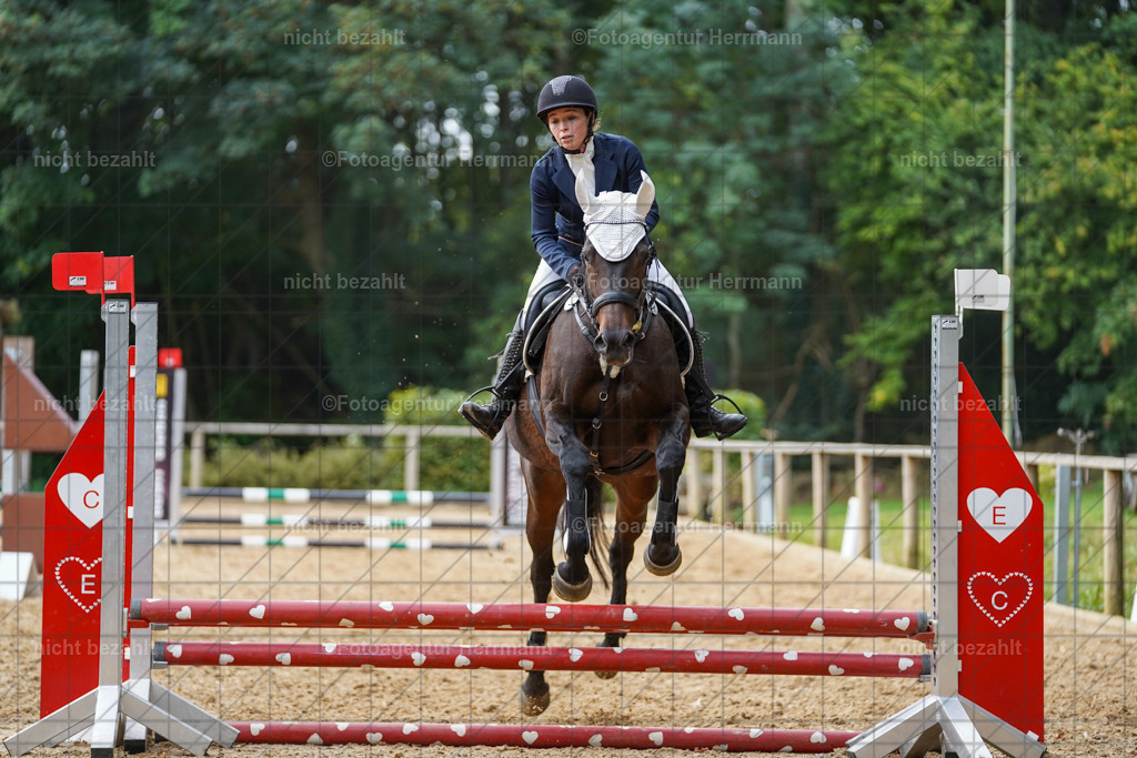 20231008-SN_01191 | Professionelle Turnier- und Reitsportfotografie - mit dem Finger am Auslöser. Pferdebilder aus dem Reitsport von den Turnierfotografen  Bayern , Pferdefotograf Bayern, Pferdeshooting Turnierbilder, Hochzeitsfotograf, Eventfotograf, Hochzeitsbilder