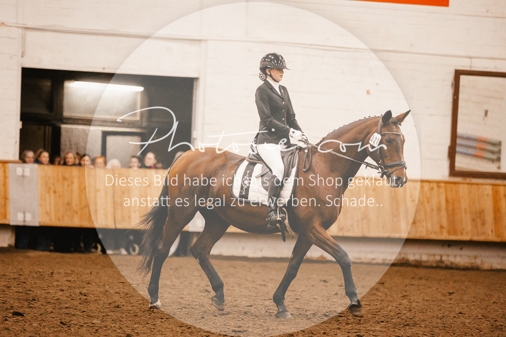 3I6A3942 | Stimmungsvolle Portraits und Reitsportfotografie im Ruhrgebiet und im Münsterland.

Pferdefotografie, Hundefotografie, Tierfotografie, Reportagen, Portraits von Tier und Mensch, Turnierfotografie in Bochum, Recklinghausen, Marl, Haltern am See, Dülmen.. - Realisiert mit Pictrs.com