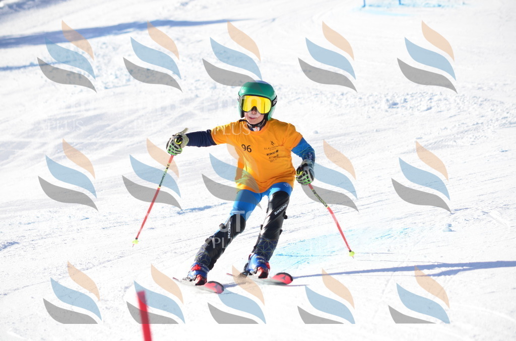 C6135 | holidayphoto