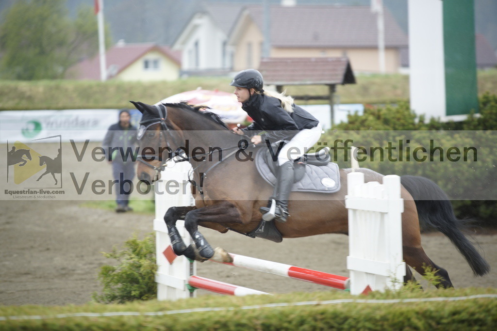 _DSC3531 | equestrian-live-com
