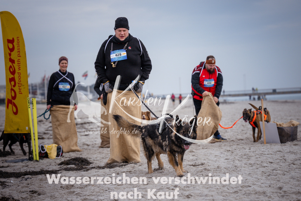 1200_ZZ91545 | kk-dogfotos