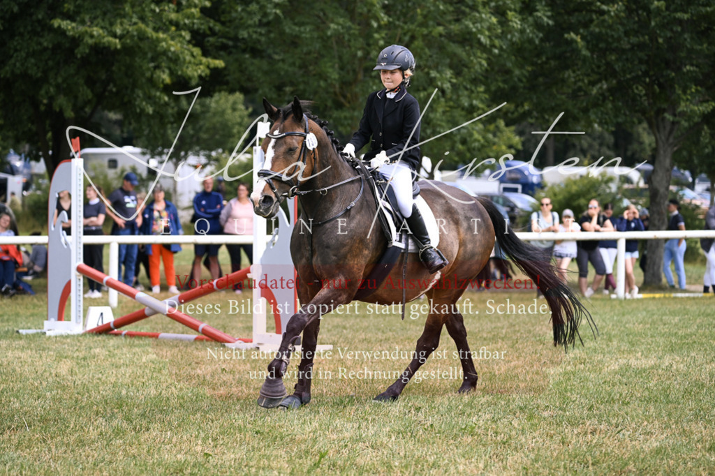 DSC_9238 | Pferde- und Turnierfotografie in Westsachsen. Pferdeportraits, Auftragszeichnungen und intuitive Kunst.