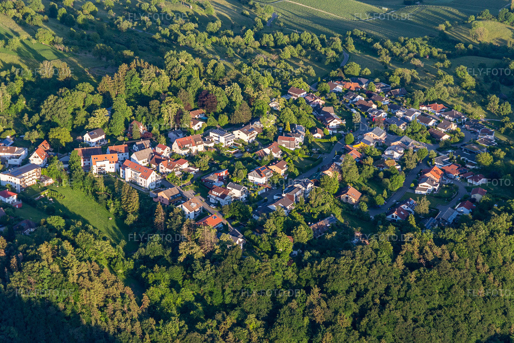 Luftbild: Hödingen im Ortsteil Hödingen in Überlingen im Bundesland Baden-Württemberg in Deutschland. Foto: IMG_132096.jpg vom 26.05.2022 durch Werner Riehm/FLY-FOTO.deWWW.HOEDINGEN.DE