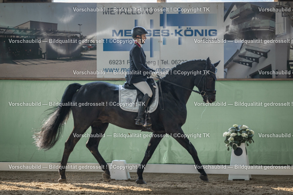 _D5A8480 | Emotionale Pferde- & People-Fotografie rund um Heidelberg, Leimen & Umgebung. Natürliche Fotos von Pferd, Mensch & Familie. Jetzt Termin sichern!