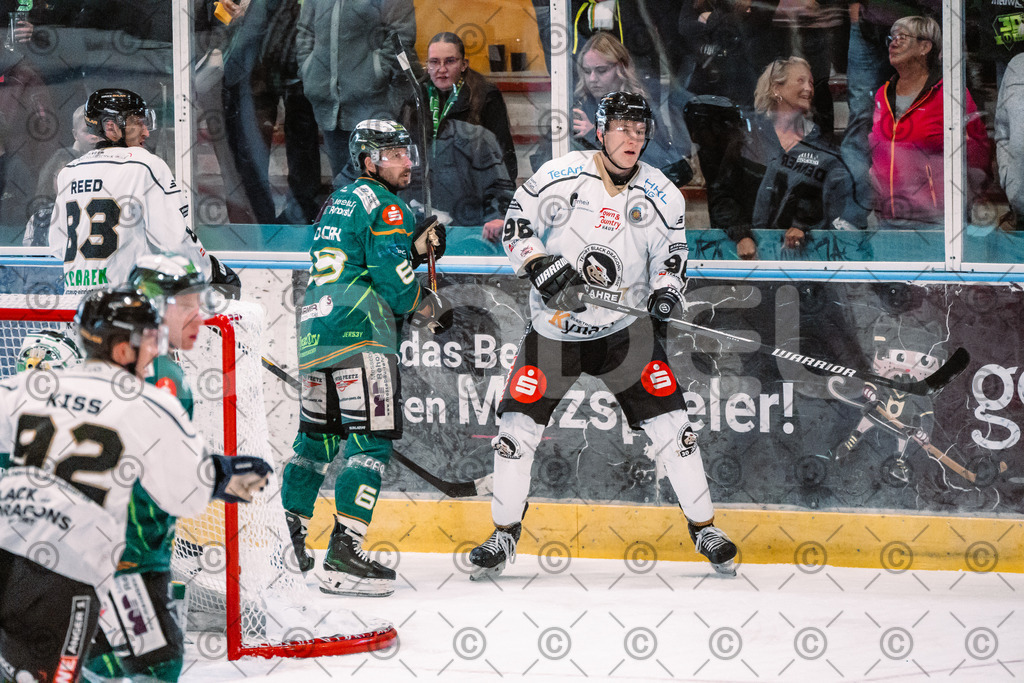 Alligators_vs_Erfurt_06_09_2026-23 | Die Fotogalerie von Daddel: professionelle Bilder von Sport, Events und Unternehmen aus Franken. Jetzt Galerien durchstöbern und Lieblingsfotos bestellen. - Realisiert mit Pictrs.com