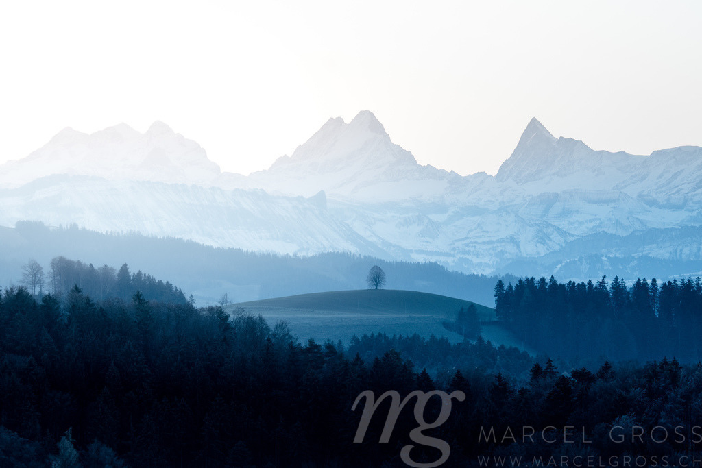 silhouette of a lonely tilia tree on a Emmental hill in front of the magic Schreckhorn | Die ideale Geschenkidee für Naturliebhaber. Naturbilder von Marcel Gross Photography für ihr Zuhause in den verschiedensten Formaten und Materialien. - Realisiert mit Pictrs.com