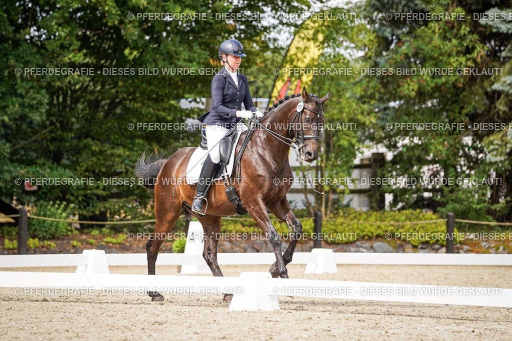 DSC05944 | Pferdegrafie