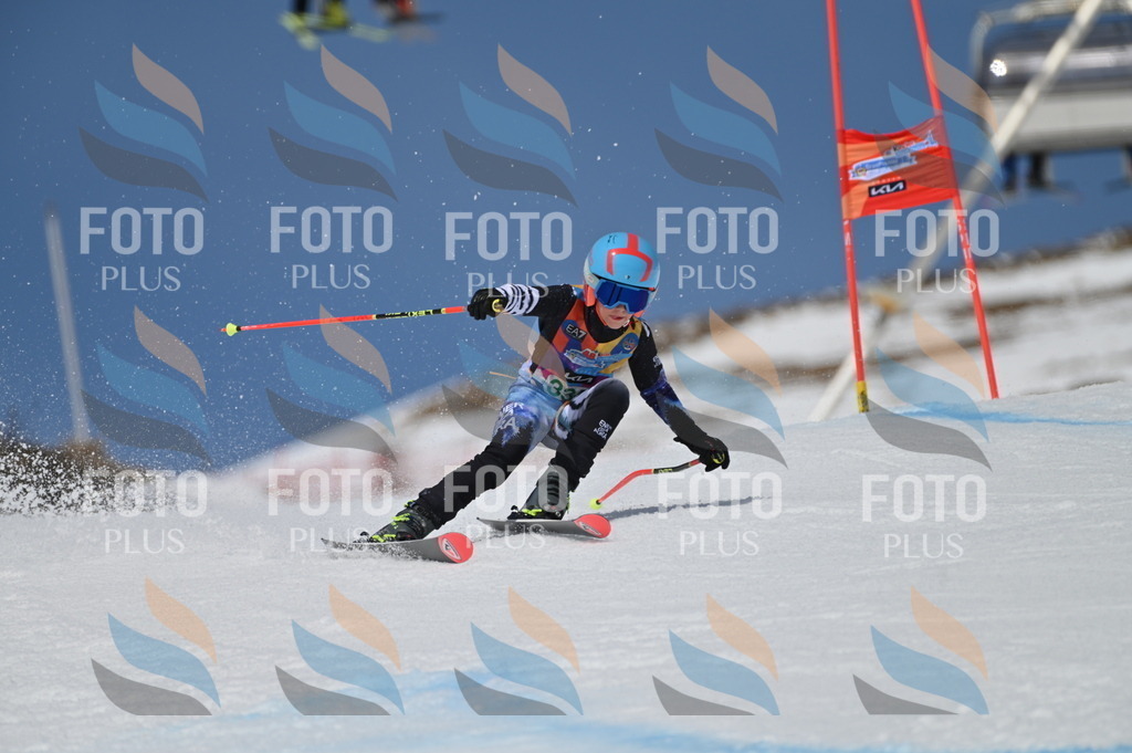 BGV_6628 | holidayphoto