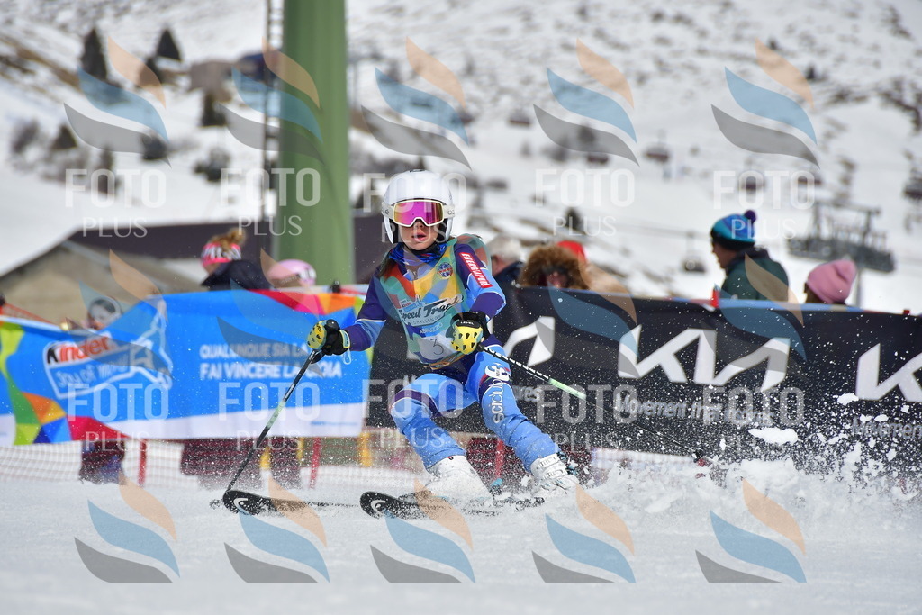 _DSC6713 | holidayphoto