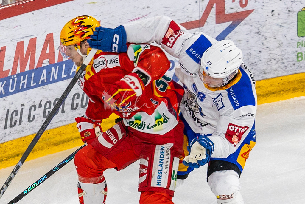 EHCB vs EVZ 20260227_WB-7280-2 | Sportbilder, Sportfotograf, Hochzeits- und Eventfotografin, Flugshows, Portraits und Tiershooting, Aviation, Downhill, Nationalleague, Swissleague, International