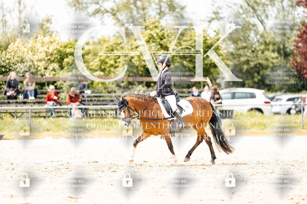 CK902304 | Turnierfotografie Pferdefotografie Trier Rheinland-Pfalz Pferdesport Reitsport Tierfotografie Sportfotografie Pferdevideo Pferdevideografie Equestrianvideography equestrianphotography  - Realisiert mit Pictrs.com