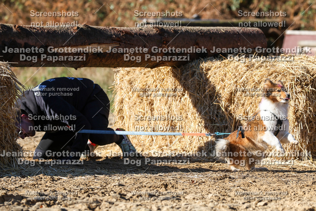 Dog Paparazzi - Strongdog 10-25-2509 | Dog Paparazzi Jeanette Grottendiek Fotografie & Videografie - Realisiert mit Pictrs.com