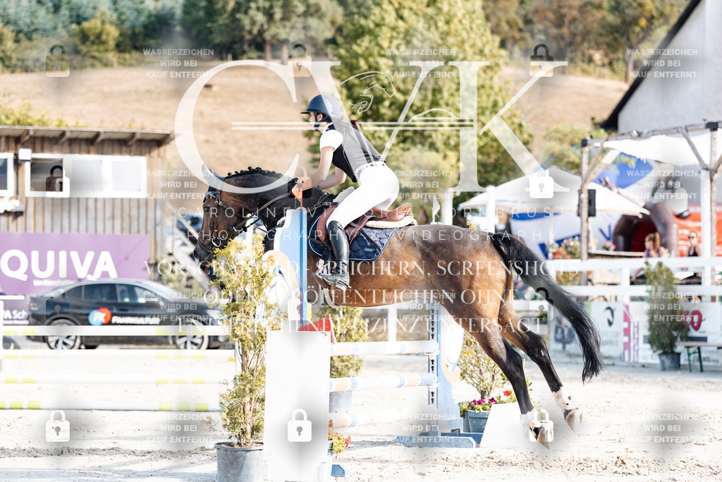 CK909398 | Turnierfotografie Pferdefotografie Trier Rheinland-Pfalz Pferdesport Reitsport Tierfotografie Sportfotografie Pferdevideo Pferdevideografie Equestrianvideography equestrianphotography  - Realisiert mit Pictrs.com