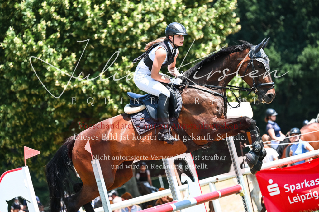 DSC_0231 | Pferde- und Turnierfotografie in Westsachsen. Pferdeportraits, Auftragszeichnungen und intuitive Kunst.