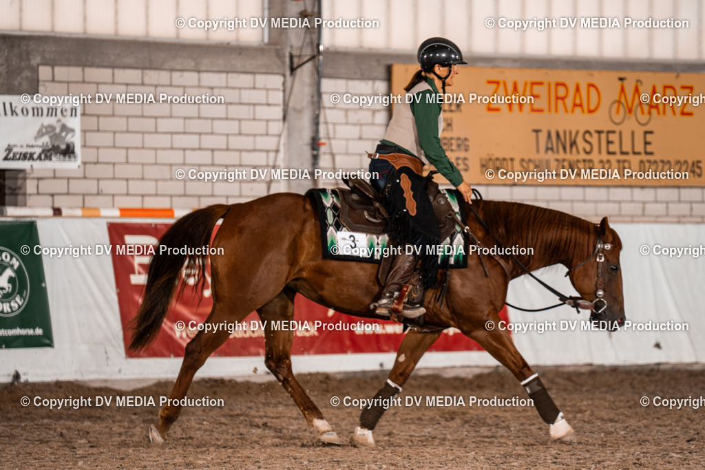 ZH300313 | dv-media-shop - Realisiert mit Pictrs.com