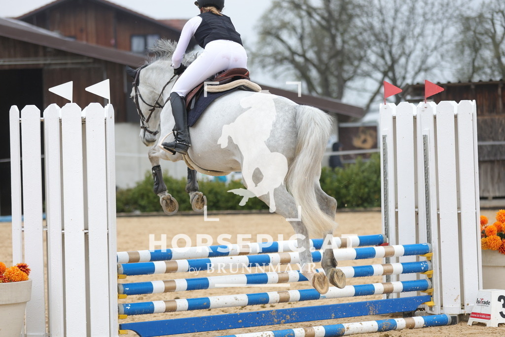 0P6A7451 | Willkommen bei Brunnmayr - Design & Fotografie – Ihrem Spezialisten für Reitturniere und Pferdeveranstaltungen in Oberösterreich, Salzburg und Bayern! Seit über 17 Jahren sind wir leidenschaftlich dabei.