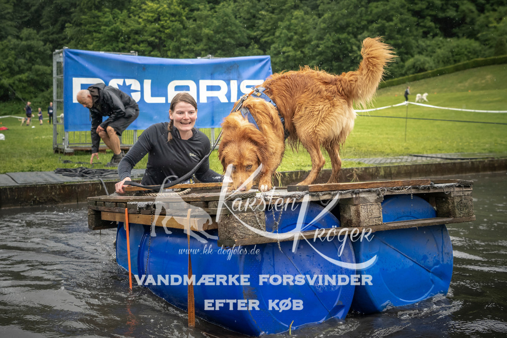 1547_ZZ94717 | kk-dogfotos