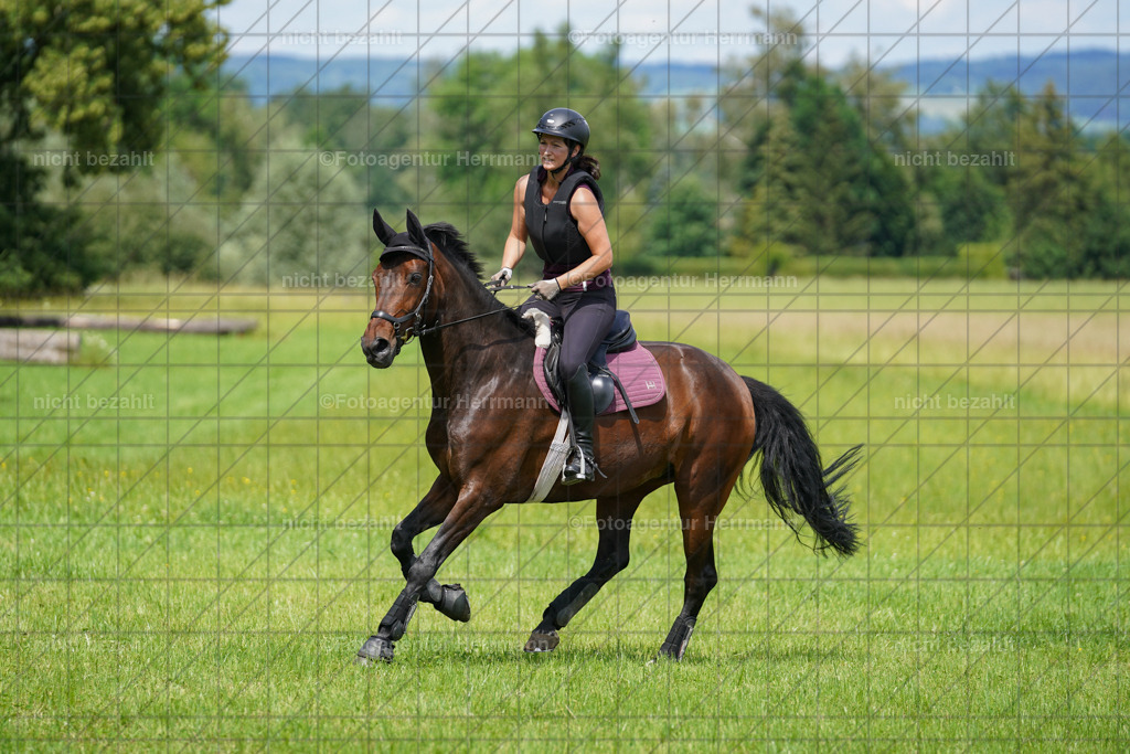 20240622-FAH07647 | Turnierfotografen Bayern, Reitsportbilder aus dem Geländekurs mit Felix Etzel auf dem Gut Waitzacker 2024