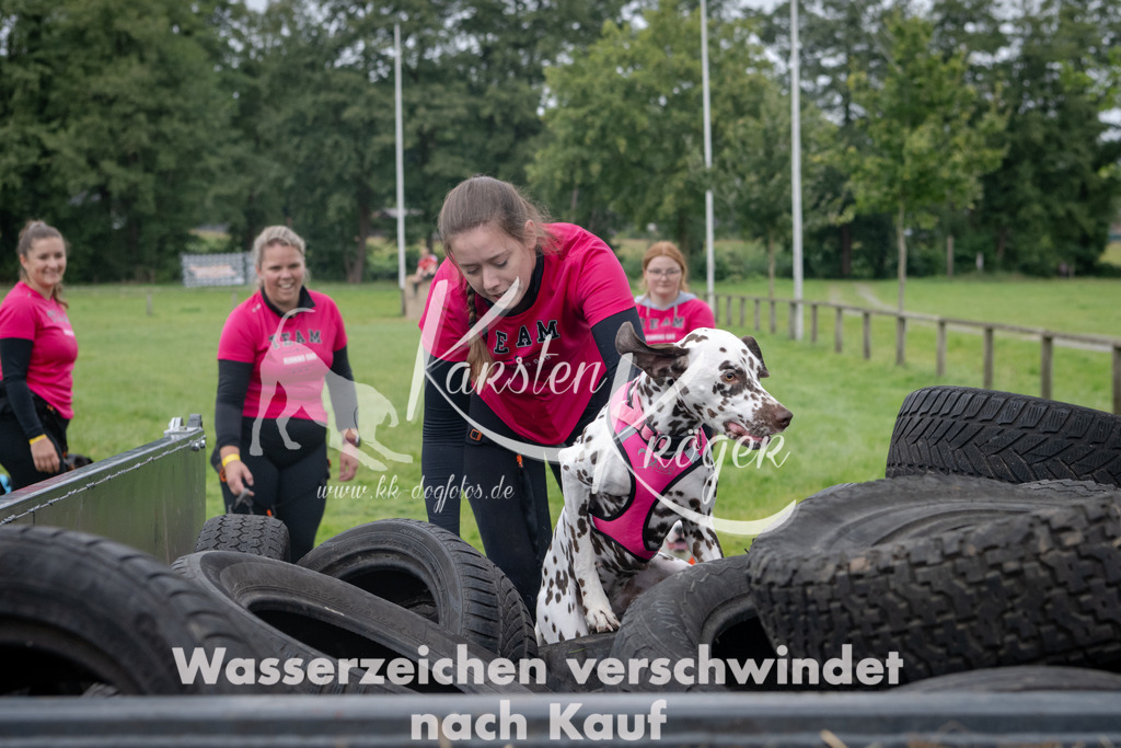 1222_ZZ90341 | kk-dogfotos