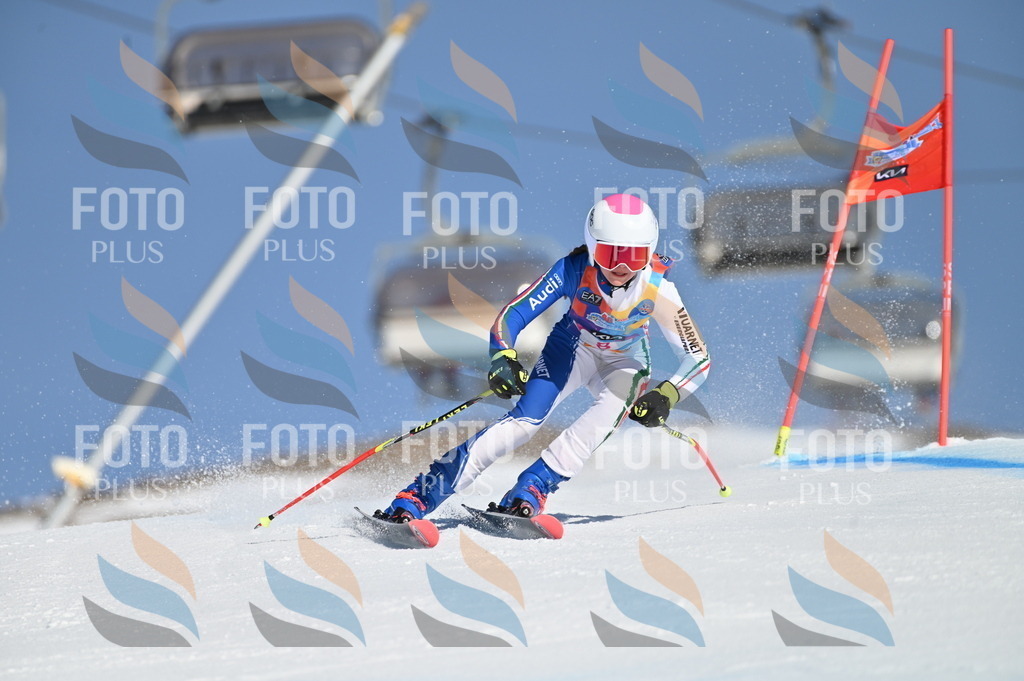 BGV_7705 | holidayphoto