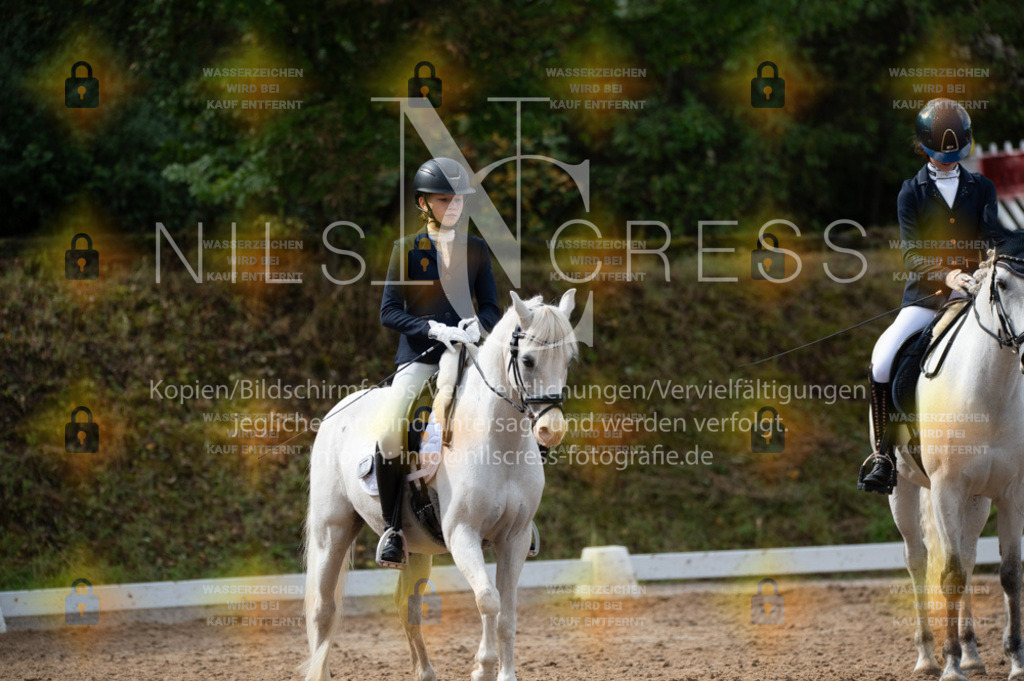 DSC_2255 | Nils Cress - Fotografie - Realisiert mit Pictrs.com