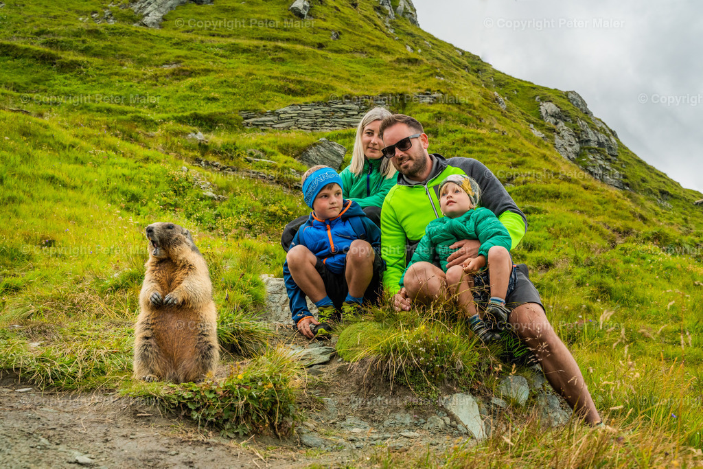 Murmel Galle 2021-11 | piet_flosse