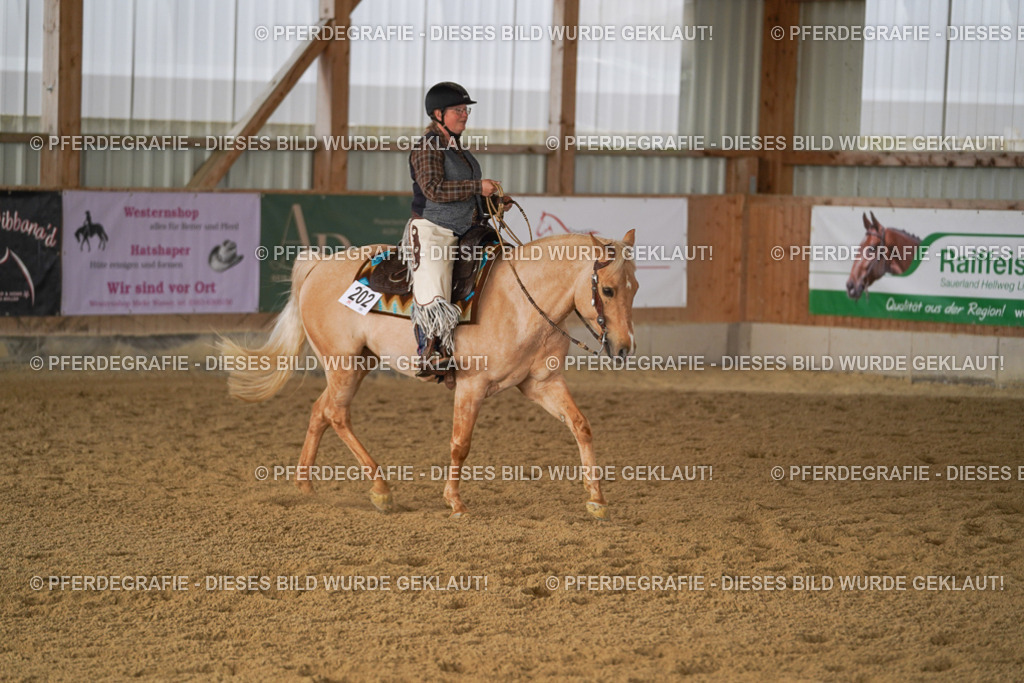 DSC00928 | Pferdegrafie