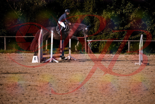2026_10_03_Siefer-Hof_160143_Z81_82722338 | Professionelle Reitsport-, Turnier- und Eventfotografie von Robert Broda. Galerien mit ausgewählten und bearbeiteten Bildern direkt online ansehen und bestellen.