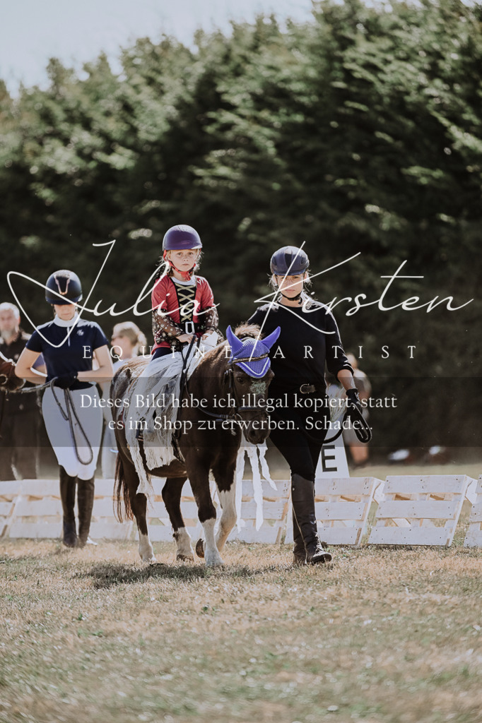 DSC_8832 | Pferde- und Turnierfotografie in Westsachsen. Pferdeportraits, Auftragszeichnungen und intuitive Kunst.