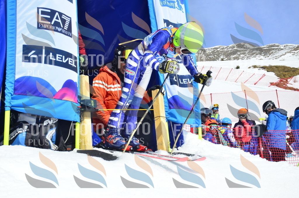 _ELE1329 | holidayphoto