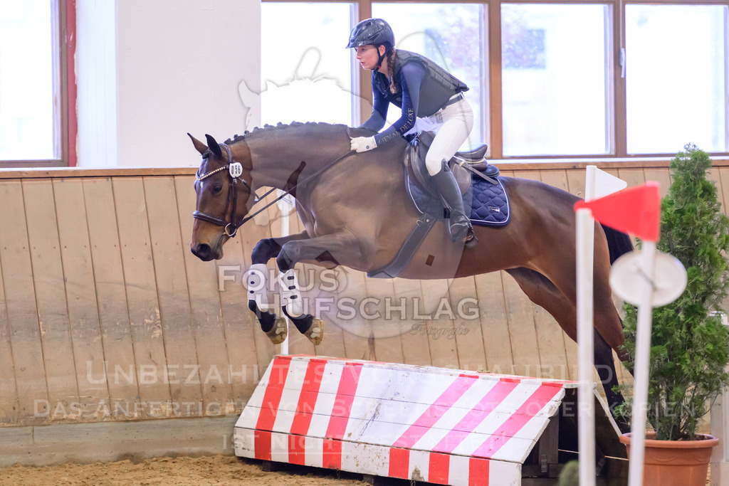29032026-Schwaiganger-Prfg01-523 | Fokus Hufschlag Fotografie - Realisiert mit Pictrs.com
