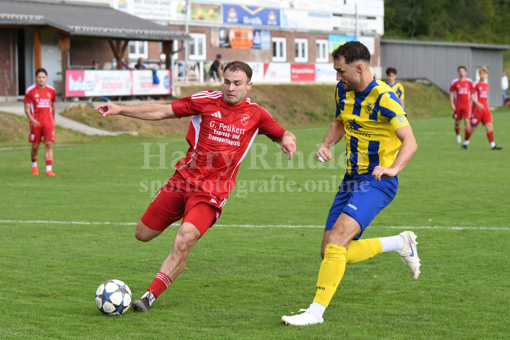 TSV Seebach : SV Wenzenbach | Samuel Huber(TSV Seebach #5) - Realisiert mit Pictrs.com