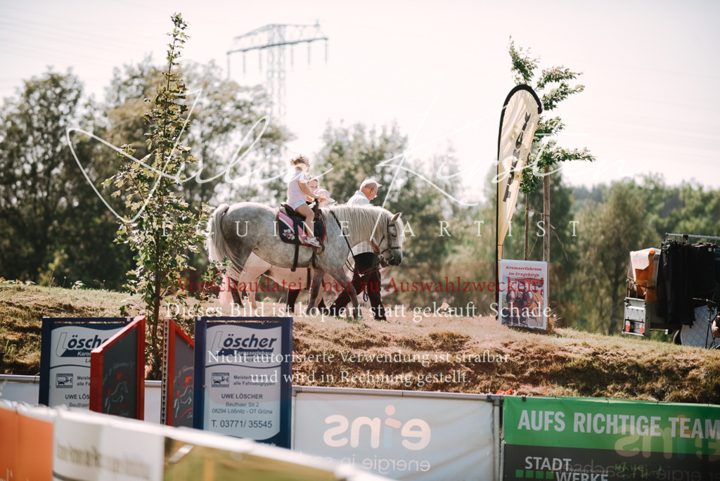 DSC_3539 | Pferde- und Turnierfotografie in Westsachsen. Pferdeportraits, Auftragszeichnungen und intuitive Kunst.