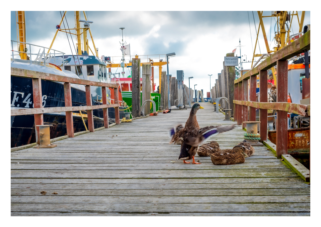 Motiv 7 | Eilun-Art-Fotografie Levke Martens, ihre Fotografin für Immobilien- und Landschaftsfotografie auf Föhr, Föhrer Motive als Poster, Leinwand, hinter Acrylglas oder stelle dir deinen eigenen Monatskalender zusammen, mit nur einem Klick