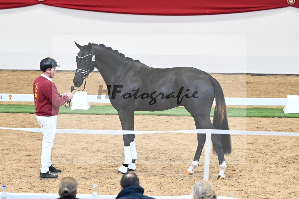 Kat.-Nr. 50 v. Donier_Meyer_2250181 | hf-fotografie - Realisiert mit Pictrs.com