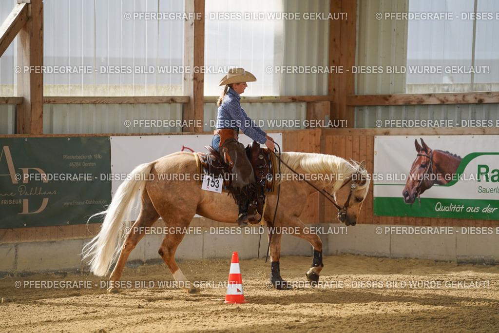 DSC06672 | Pferdegrafie