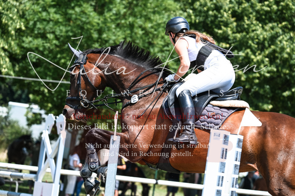 DSC_0229 | Pferde- und Turnierfotografie in Westsachsen. Pferdeportraits, Auftragszeichnungen und intuitive Kunst.