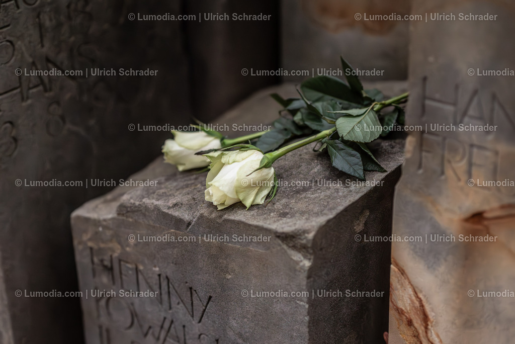 10049-13044 - Gedenkveranstaltung in Halberstadt | Stockfoto und Bilderpool mit Bildmaterial aus Deutschland, dem Harz, Halberstadt, Quedlinburg, Wernigerode und weltweit. Qualitativ hochwertige und professionelle Fotos anschauen und kaufen. - Realisiert mit Pictrs.com