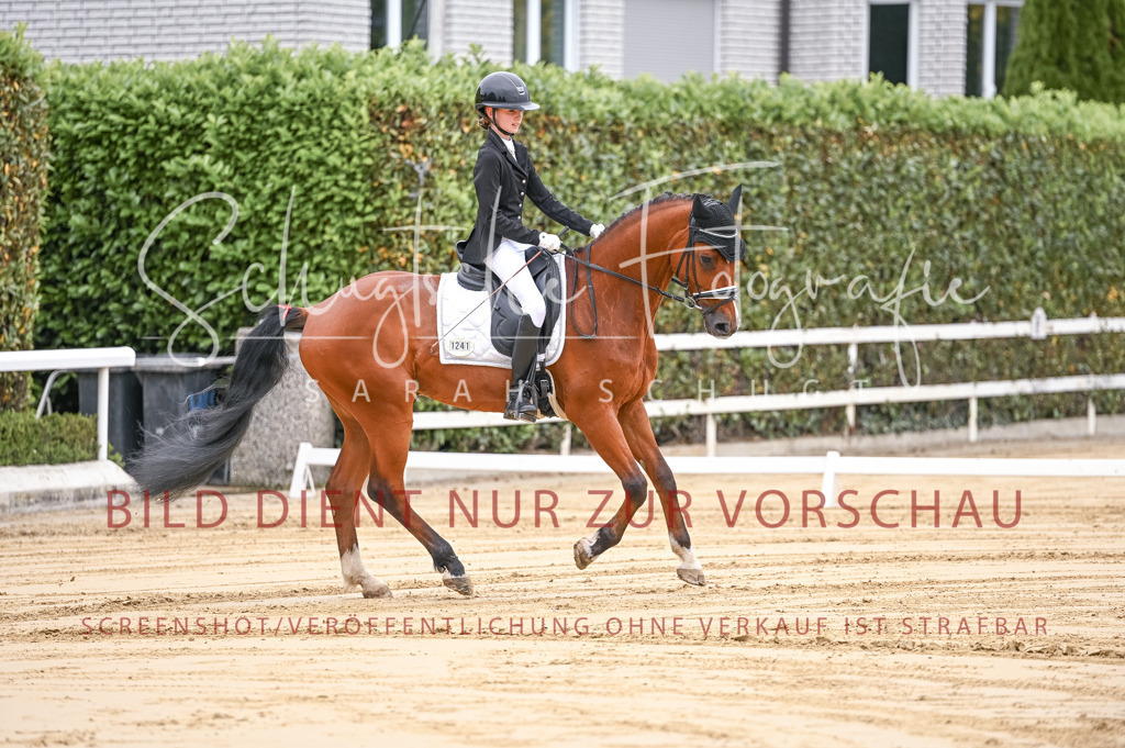 Schugtsche-Aluta25-42.EDressur -15 | Schugtsche Fotografie - Realisiert mit Pictrs.com