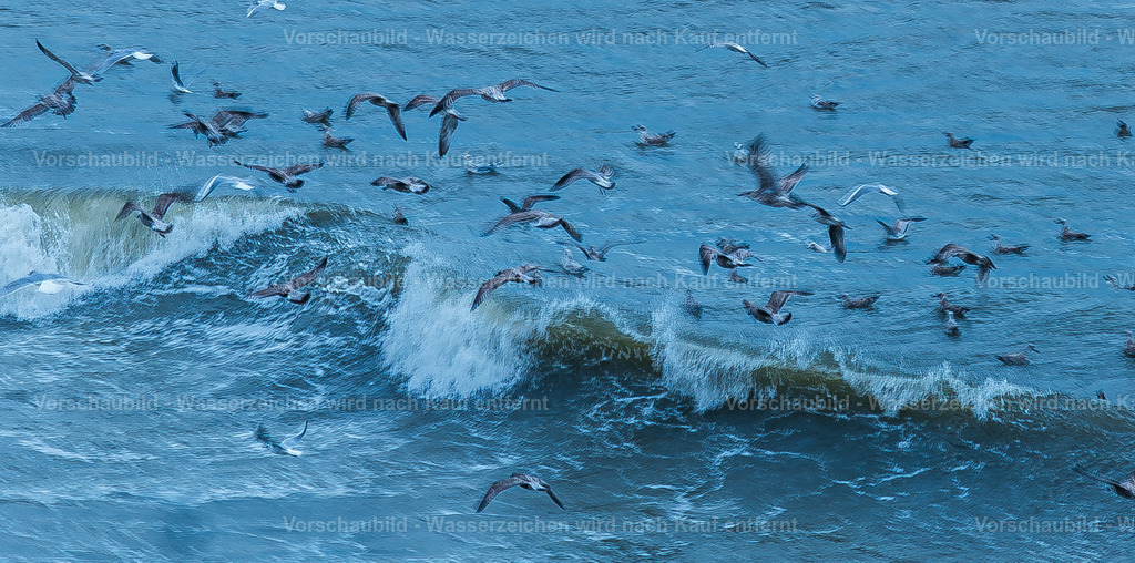 DSC00438-Enhanced-NR | marcuslinek