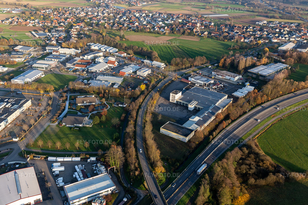 Luftbild: Industrie- und Gewerbegebiet Im Lossenfeld mit Lackmann Fleisch- und Feinkostfabrik GmbH, hilzinger GmbH - Fenster + Türen in Willstätt im Bundesland Baden-Württemberg in Deutschland. Foto: IMG_119993.jpg vom 30.11.2019 durch Werner Riehm/FLY-FOTO.de