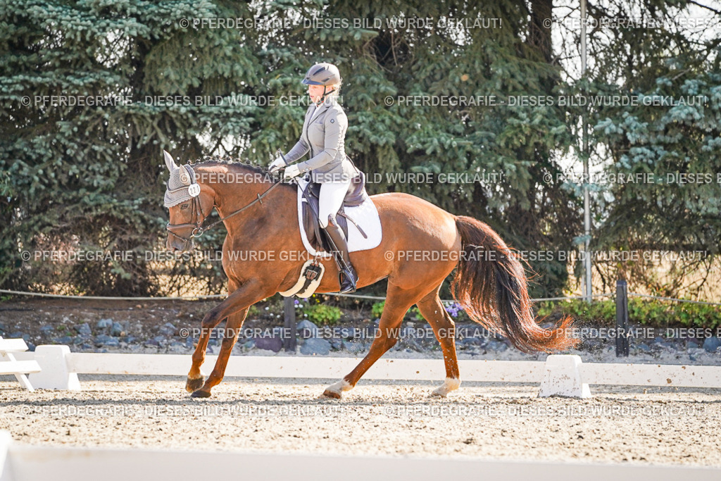 DSC09857 | Pferdegrafie