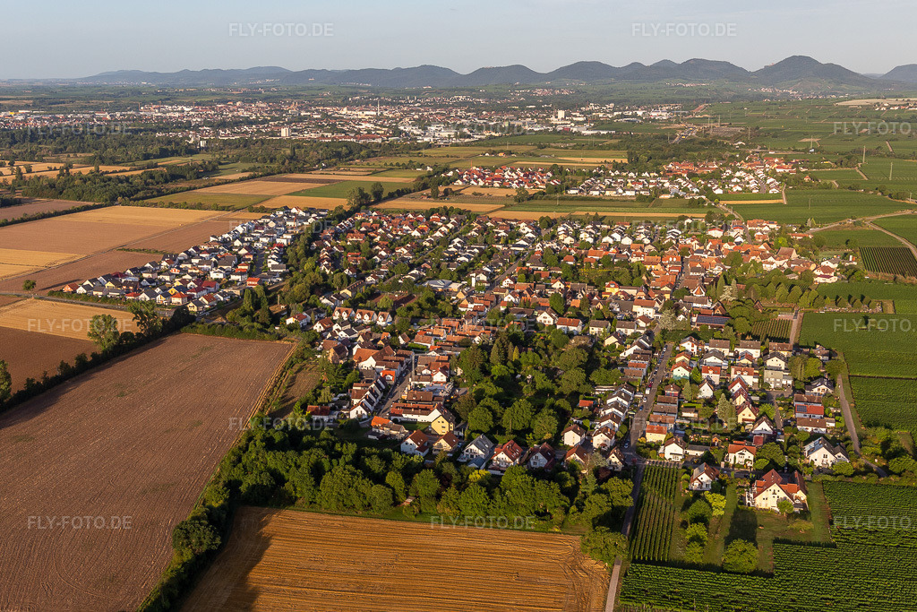 Luftbild: Landwirtschaftliche Nutzflächen und Feldgrenzen umsäumen das Siedlungsgebiet des Dorfes in Bornheim im Bundesland Rheinland-Pfalz in Deutschland. Foto: IMG_116620.jpg vom 11.08.2019 durch Werner Riehm/FLY-FOTO.de