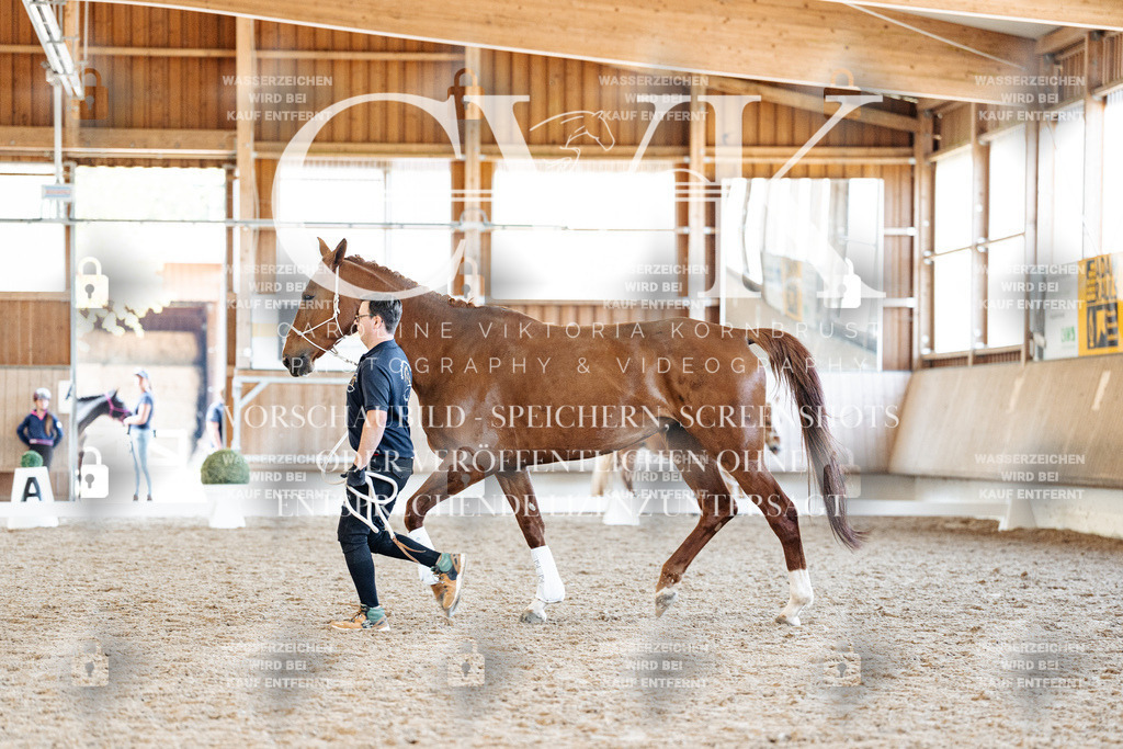 CK906669 | Turnierfotografie Pferdefotografie Trier Rheinland-Pfalz Pferdesport Reitsport Tierfotografie Sportfotografie Pferdevideo Pferdevideografie Equestrianvideography equestrianphotography  - Realisiert mit Pictrs.com