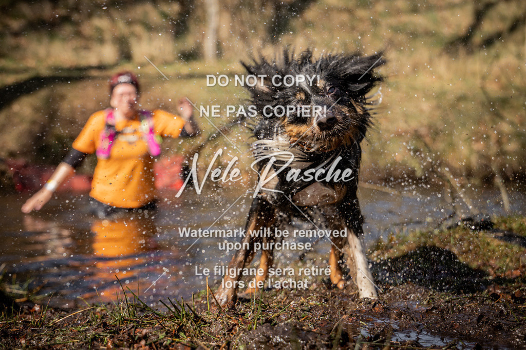 nelerasche_FS1300-1330_44 | nelerasche